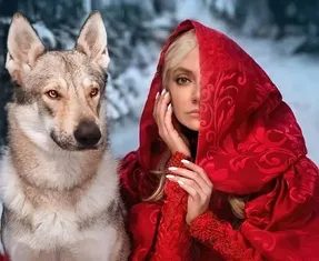 مهناز افشار با لباس سرخ در کنار سگی بزرگ!