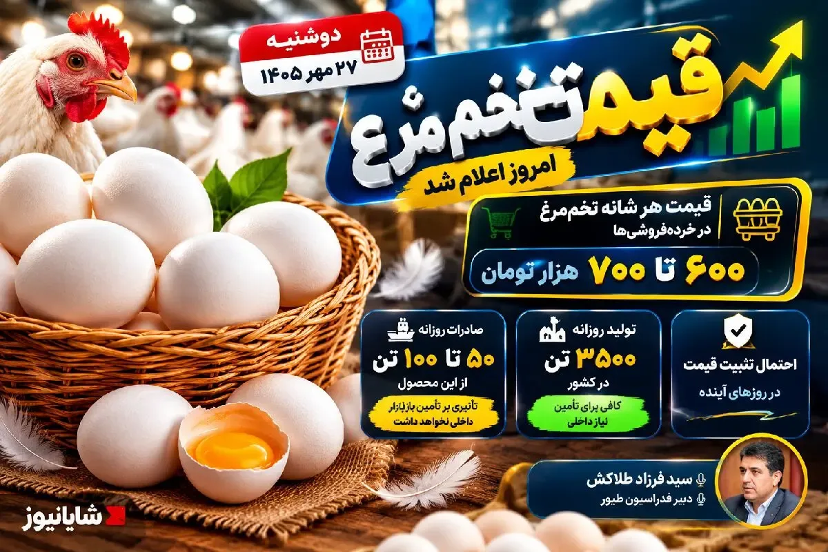 قیمت تخم مرغ امروز دوشنبه 27 مهر 1405 / قیمت هر شانه به چقدر میرسد؟