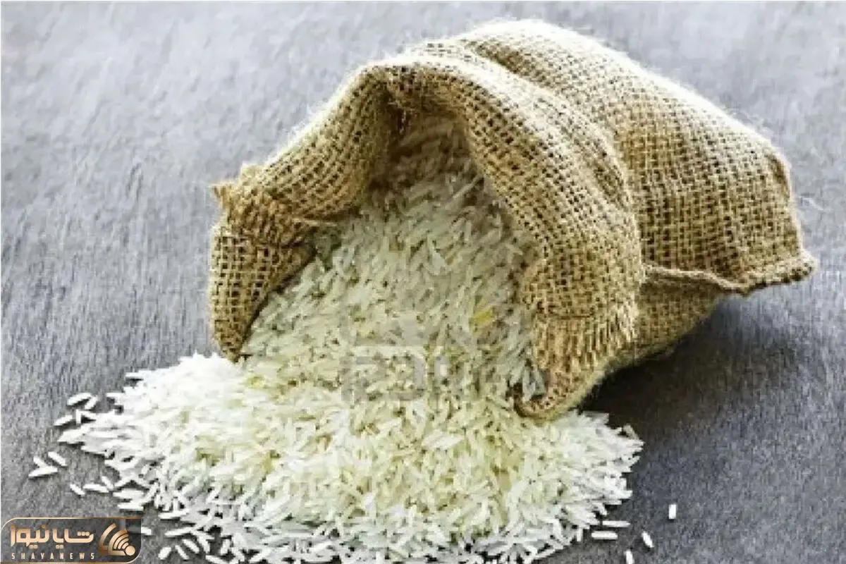 دلالی در بازار برنج بی پایان است