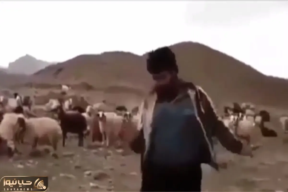 آواز شاد؛ رقص فری چوپان تو بیابون جوریه که انگار گوسفندا رو میپیچونده میرفته کلاس رقص