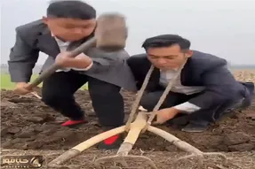 کشاورزی نوین؛ چشم بادومی ها مرزهای شخم رو جا به جا کردن