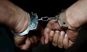 (ویدیو) بازگرداندن کلاهبردار بزرگ اقتصادی از مسکو