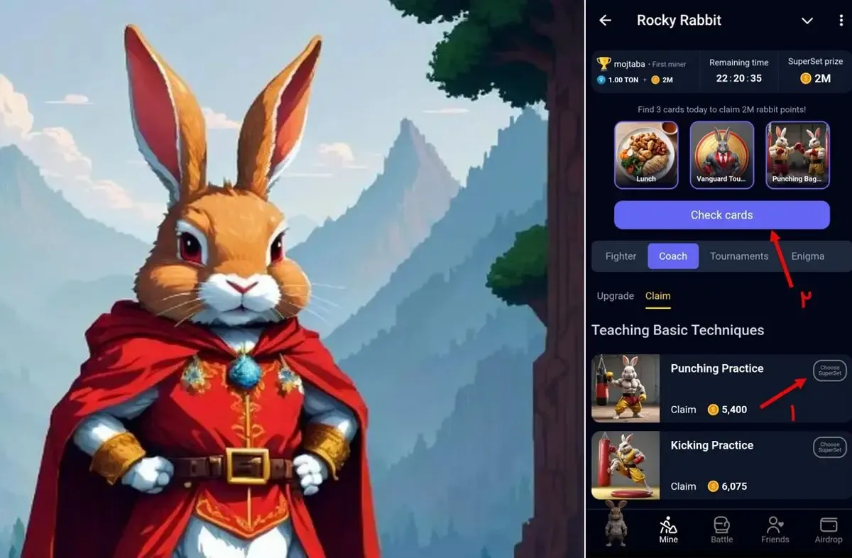 کارت های راکی رابیت (rocky rabbit) امروز جمعه 17 شهریور + آموزش وارد کردن