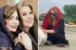 حرکت منشوری و جینگول 