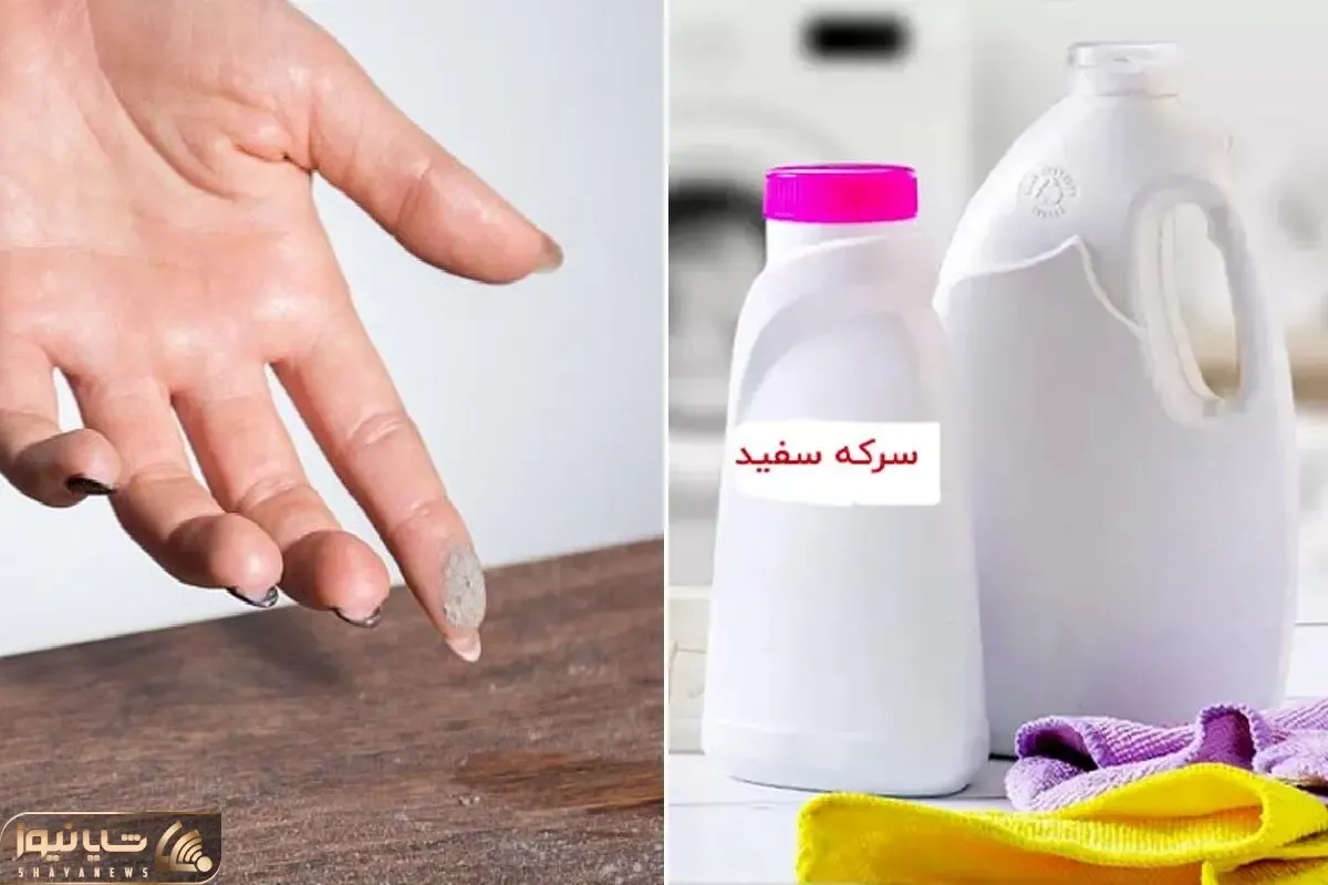 راه ساده مقابله با گرد و خاک تو خونه / دلیل این که خونه بعضیا از تمیزی برق میزنه اینه