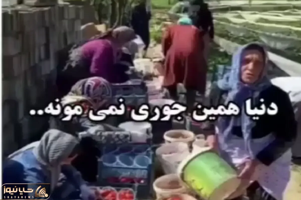 آواز جانسوز؛ ننه بزرگ زحمت کش میزنه زیر آواز همش گوشه تنهایی نشستم میخونه دل یخ میکنه