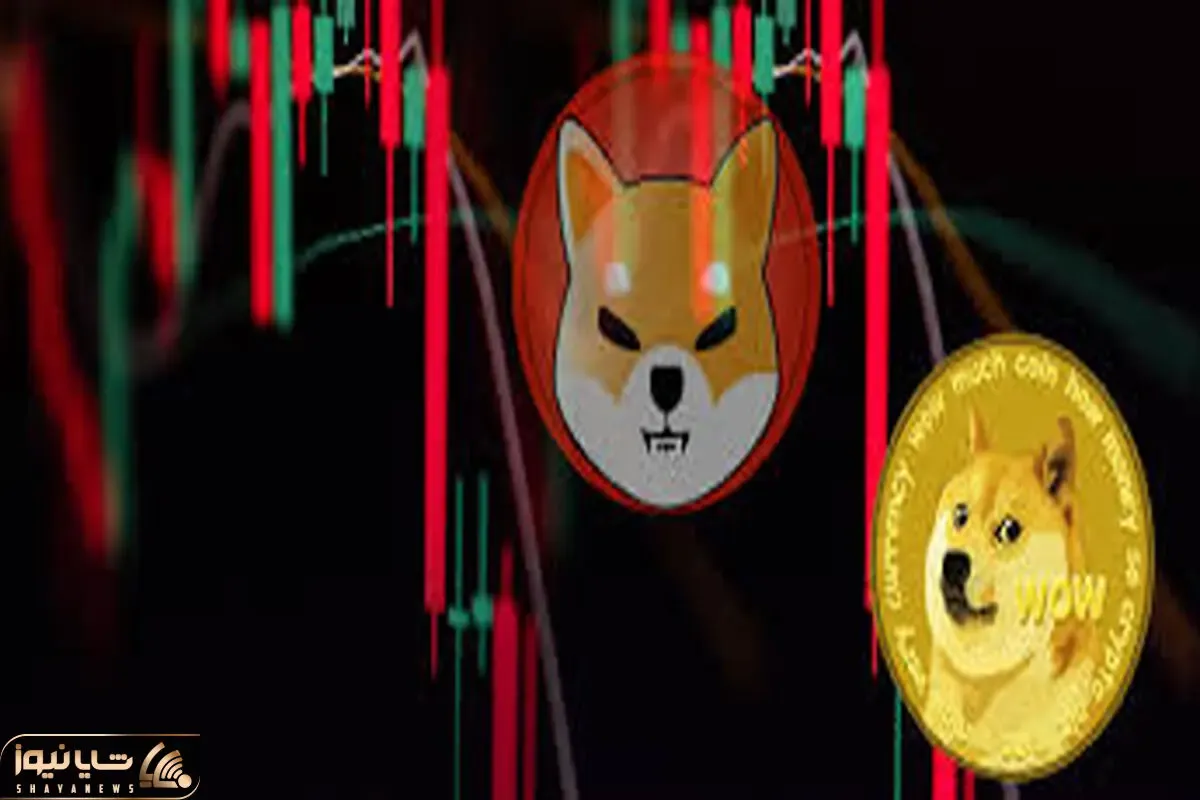 پیش بینی جنجال برانگیز ازشیبااینو دوج کوین!!
