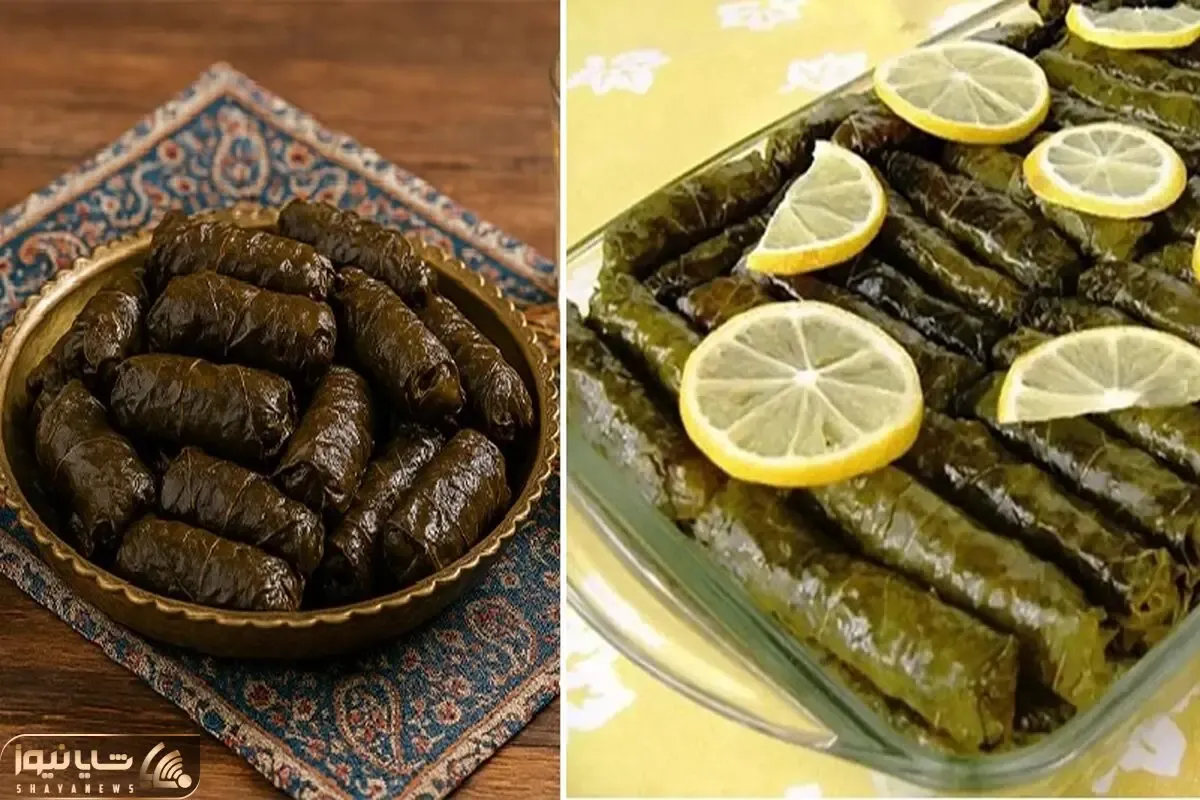 طرز تهیه دلمه برگ مو لبنانی / طعم متفاوت و عالی از یک غذای فوق العاده