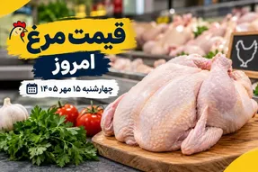 قیمت مرغ امروز چهارشنبه 15 مهر 1405 / مرغ کیلویی چند؟