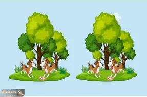 بازی فکری؛ میخوای بدونی چشمت مثل خلبان جنگنده است یا نه 3 تا تفاوت تصویر رو پیدا کن