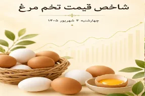 قیمت تخم مرغ امروز چهارشنبه 4 شهریور 1405 / تخم مرغ ارزان شد؟