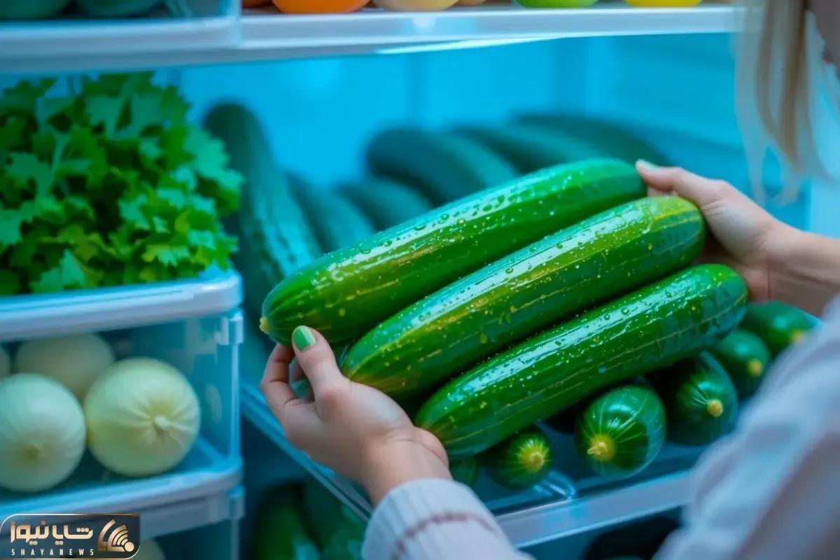 ترفندهای خانه داری؛ چطور خیار و گوجه رو برای مدت طولانی در یخچال نگهداری کنیم؟