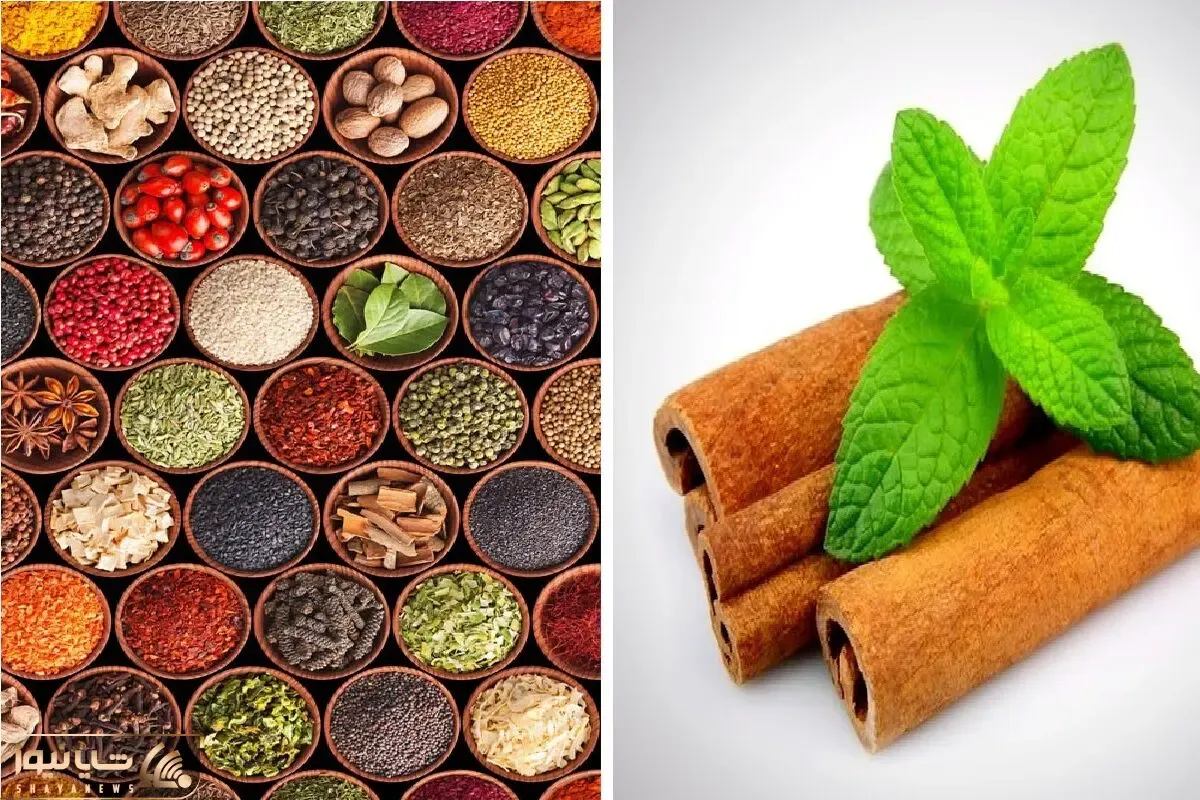اوه اوه ادویه رو زیاد ریختی؟ غذا شور شده؟ ترش شده؟ ایراد نداره چون چاره داره