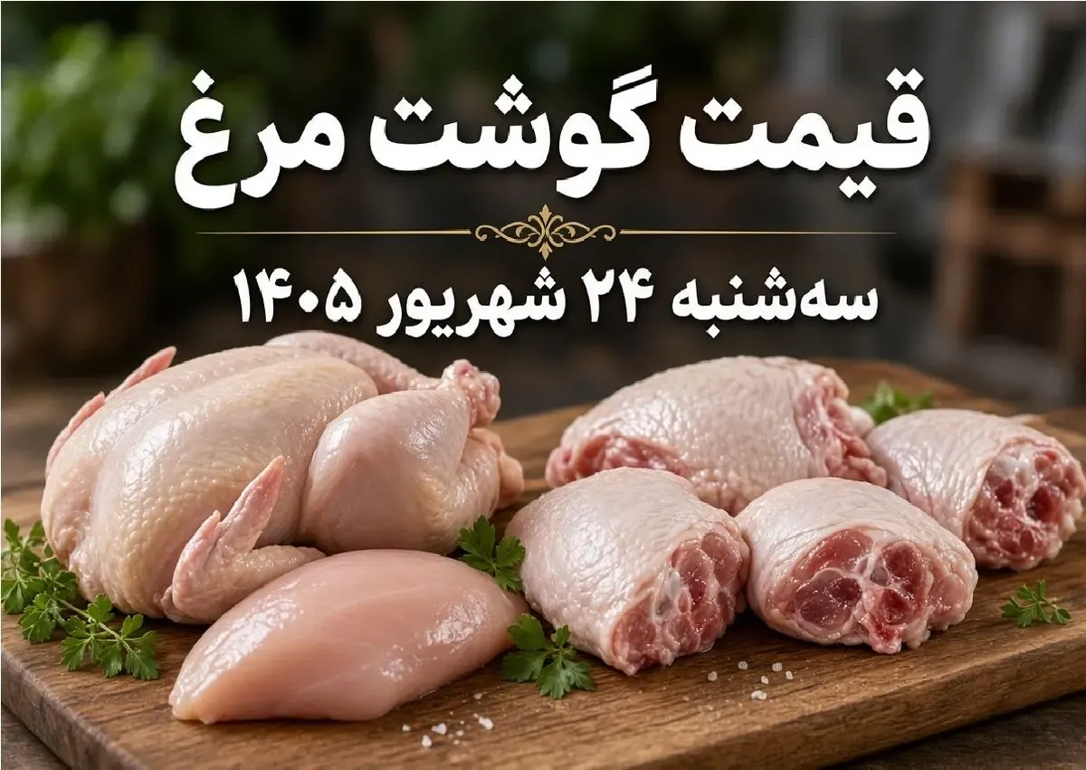قیمت مرغ امروز سه شنبه 24 شهریور 1405 / مرغ ارزان شد؟