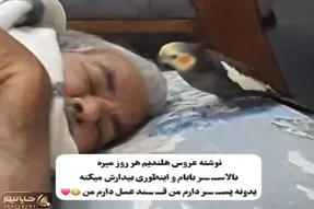 آواز شاد؛ عروس هلندی بلا صبحا بالاسر صاحبش یه دونه پسر دارم من میخونه بیدارش میکنه