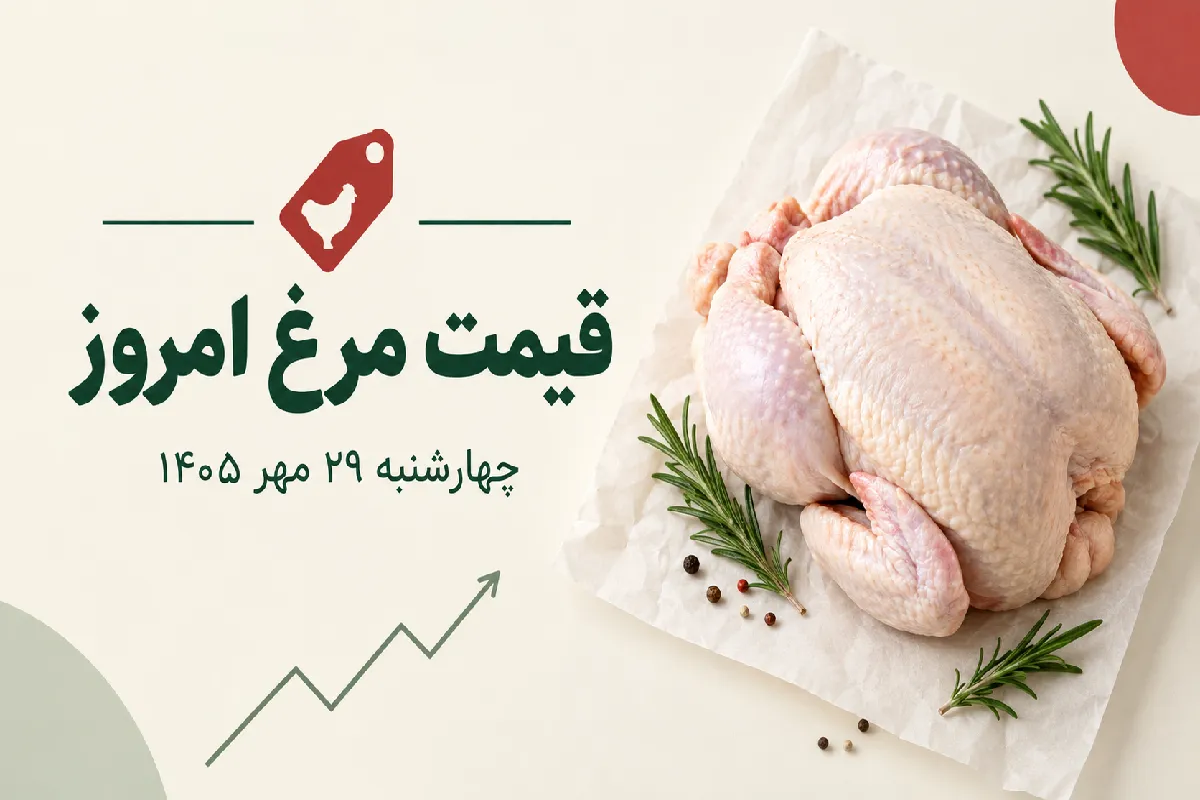 قیمت مرغ