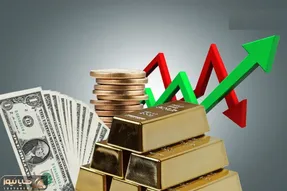 دلار در دولت پزشکیان از سکه افتاد! / طلا برنده میدان نوسانات شد
