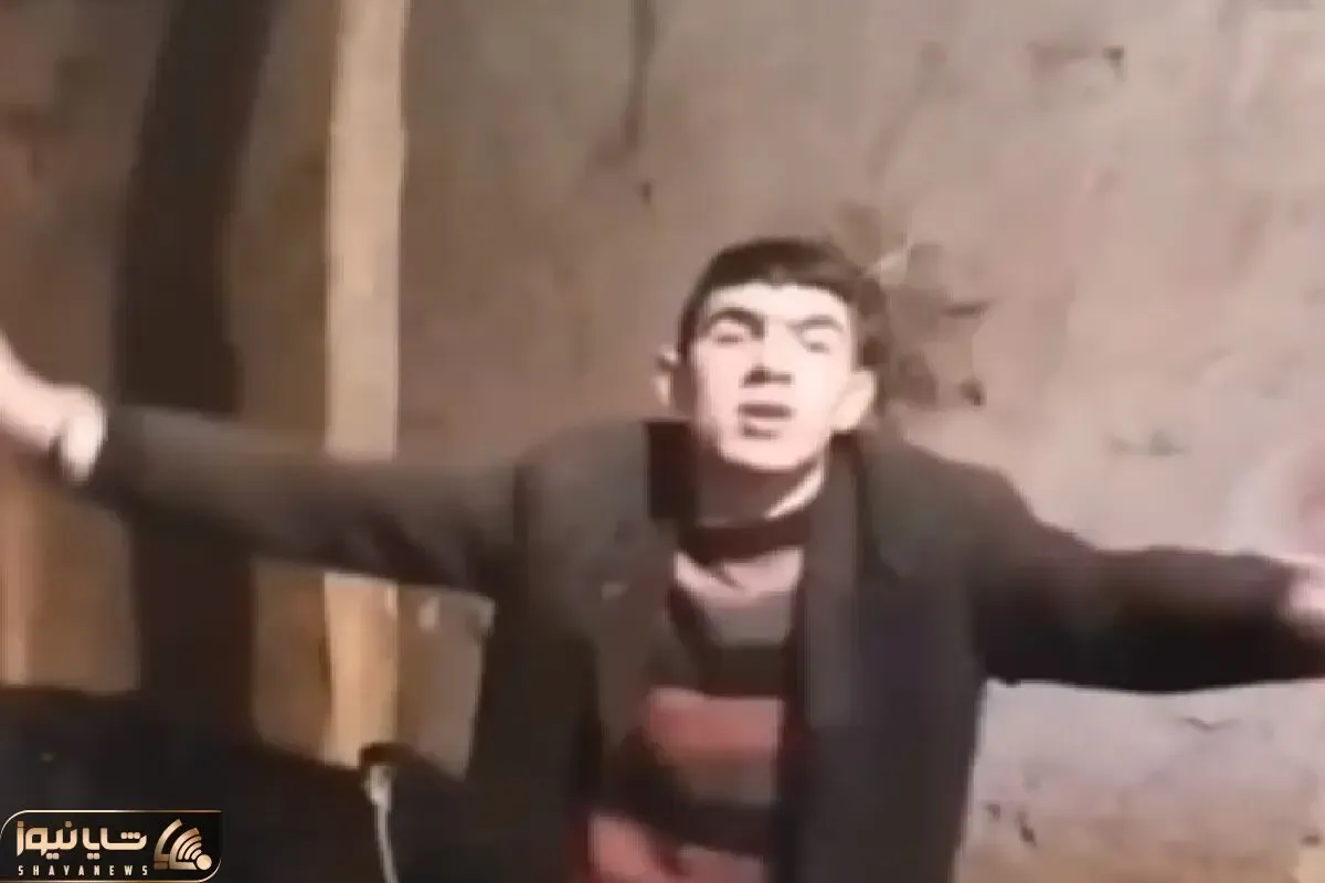 آواز شاد؛ پسر گاوچران تو طویله بین گاوها چه رقصی رفت حیوونا شوکه شدن که چرا همچین کرد