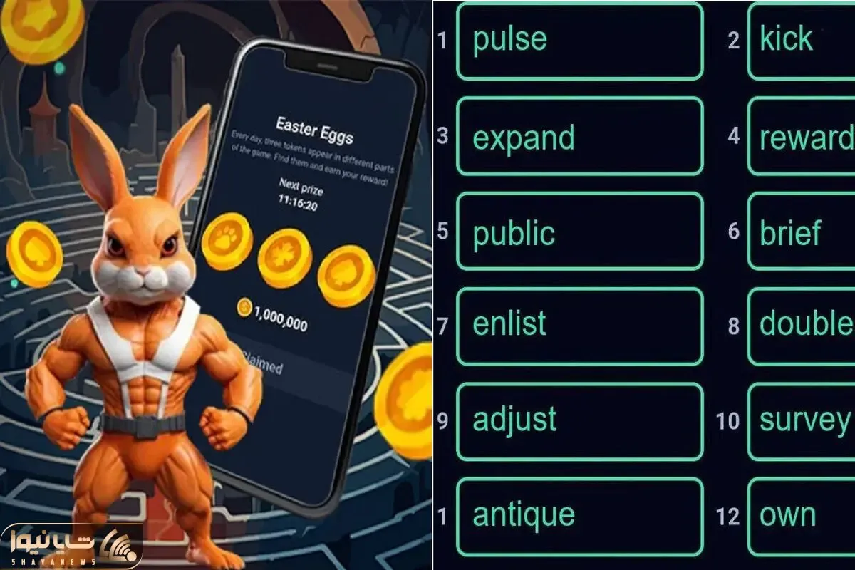 کد انیگما راکی رابیت (rocky rabbit) امروز پنج شنبه 15 شهریور + آموزش وارد کردن