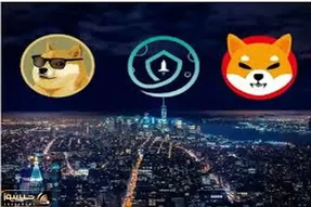 دوج کوین و شیبااینو به عجیب ترین ها دست یافتند؟