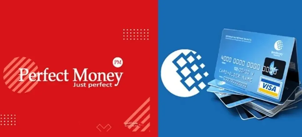 تفاوت پرفکت مانی و وب مانی
