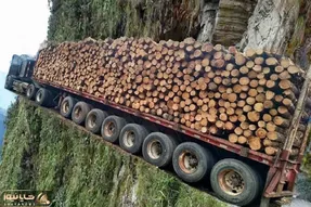 جا به جایی های جانکاه؛ این راننده تریلی ها با چه بدبختی الوارو این ور و اونور میکنن!