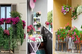 گیاهانی آپارتمانی که تو سرما هم دوام میارن؛ ایده هایی برای یه تراس سبز تو زمستون سرد
