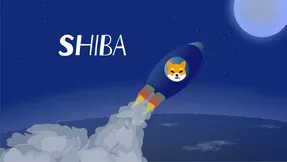 پارتی جنجالی آخرسالی شیبااینو!