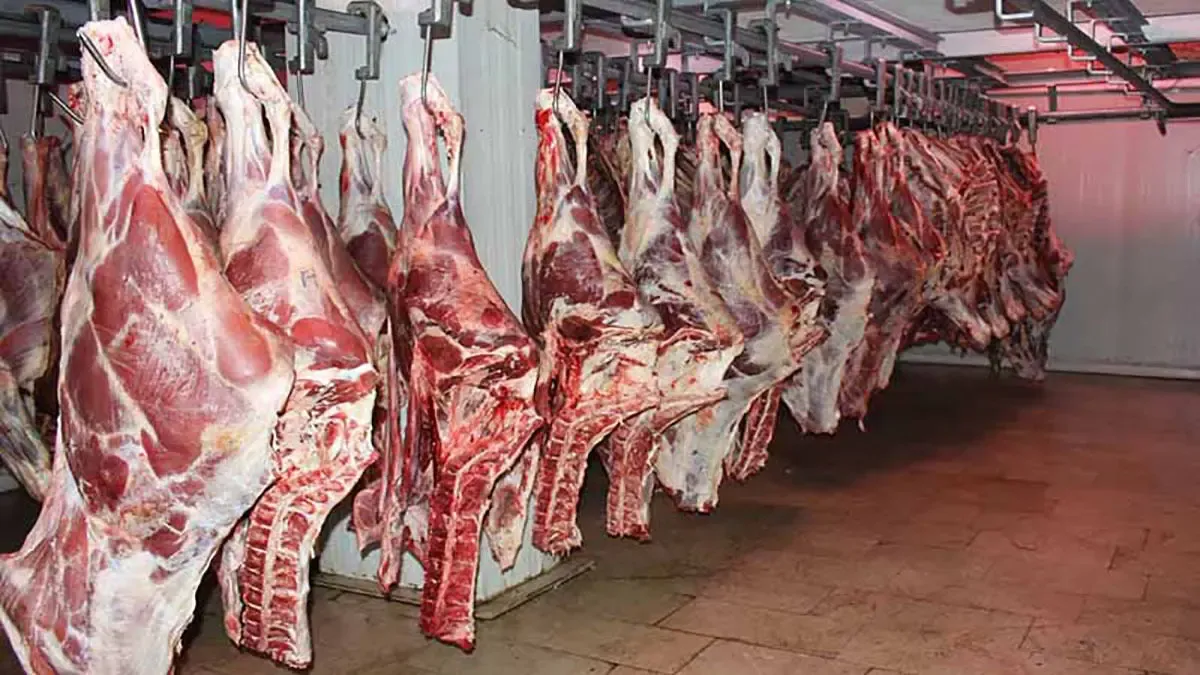 گوشت قرمز گران‌تر می‌شود