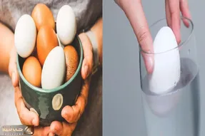 چطوری بفهمیم تخم مرغ سالمه یا خراب؟/ رازهای تشخیص تخم مرغ تازه که باید بدونی!