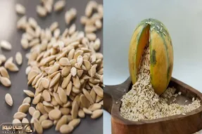چطور تخمه خربزه و طالبی را در خانه خشک کنیم؟ / صفر تا صد خشک کردن تخمه برای مبتدیا
