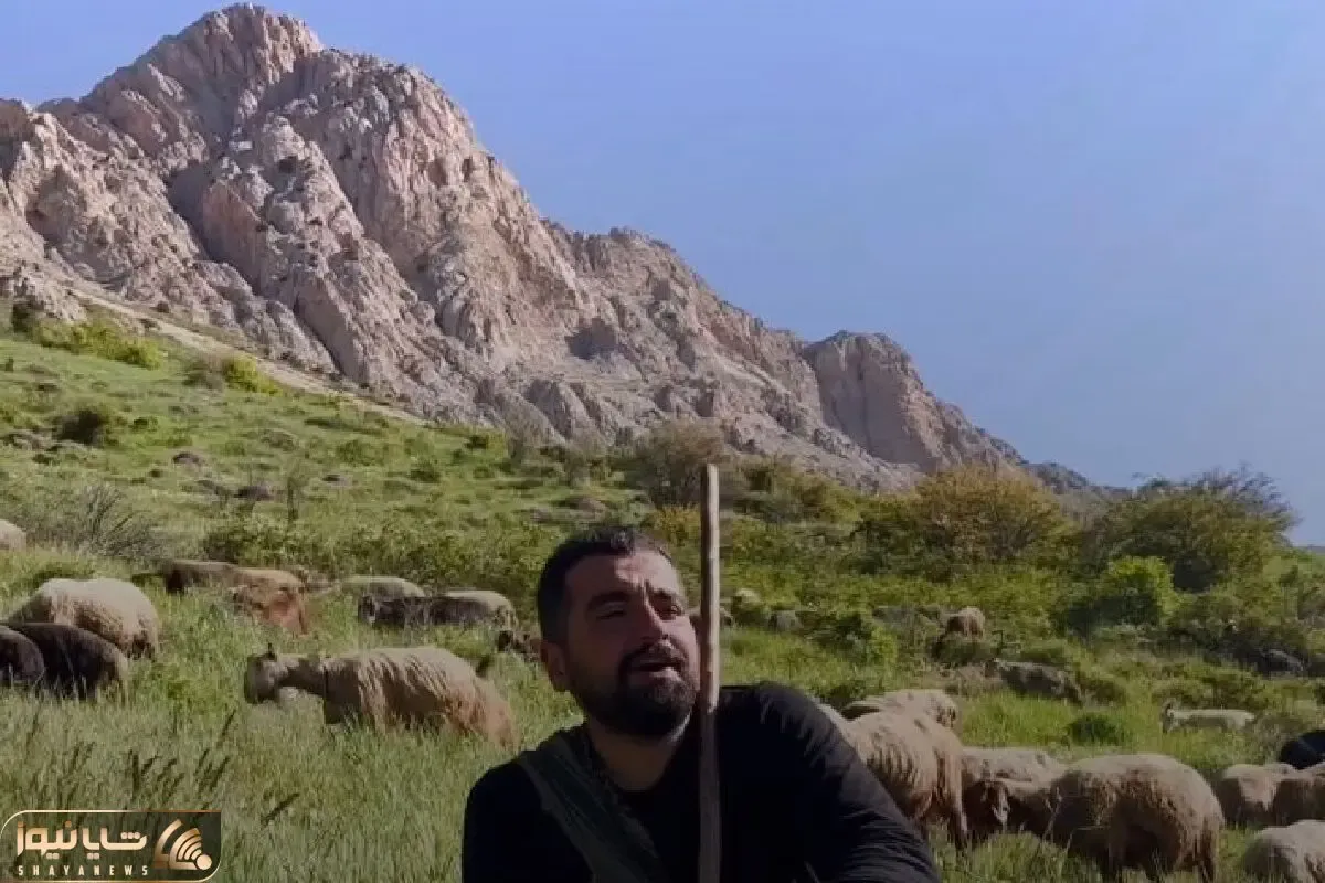 آواز اصیل؛ پسر چوپان در حال چرا گوسفندا تو دشت چه سوزدار بمرده مار رو خوند
