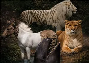 حیواناتی که نباید وجود می داشتند/ دستکاری طبیعت یا شاهکار ژنتیک؟