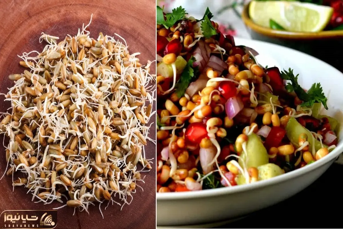آموزش مرحله به مرحله تهیه جوانه گندم / یه ماده غذایی فوق العاده رو در منزل درست کن
