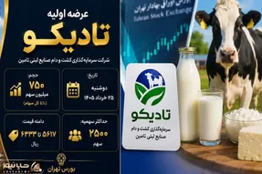 عرضه اولیه تادیکو چقدر نقدینگی می خواهد؟+ جزئیات