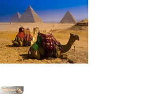 قصه های عامیانه شبانه؛ شنیدی میگن اشک تمساح میریزه، بیا تاداستانشو بگم