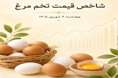 قیمت تخم مرغ امروز چهارشنبه 4 شهریور 1405 / تخم مرغ ارزان شد؟