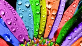 روانشناسی رنگ ها؛ شخصیت شما چه رنگی است؟