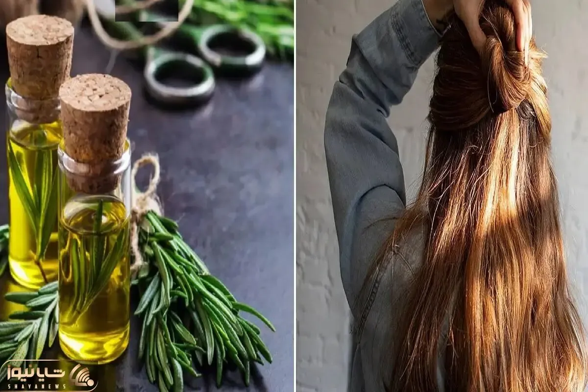 ایجاد شوک رویش در موهایی که رشدشون متوقف شده؛ اگه موهات تا یه جا بیشتر بلند نمیشه بیا