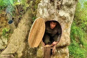 معماری خلاقانه؛ آقا ته خاص بودن تو تنه درخت واسه خودش خونه ساخته درشو نگا گرده