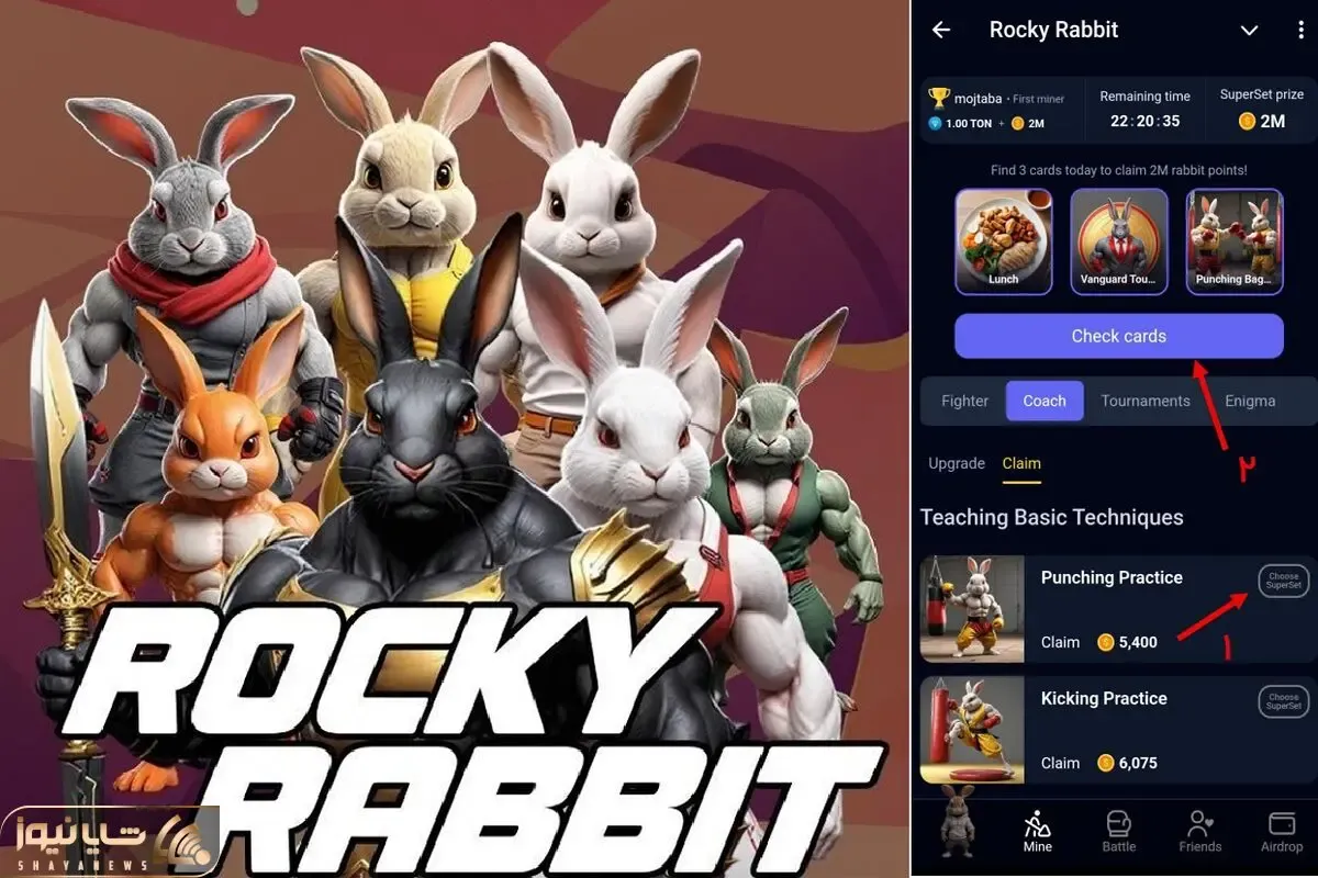 کارت های راکی رابیت (rocky rabbit) امروز دوشنبه 12 شهریور + آموزش وارد کردن