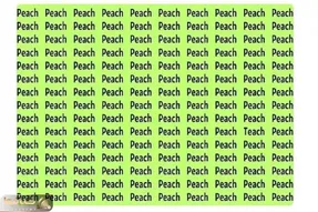 بازی فکری؛ ۱۴۹ کلمه PEACH داریم و یه دونه کلمه TEACH، پیدا کردنش کار هر کسی نیست