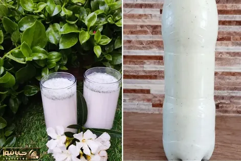 طرز تهیه دوغ گازدار خانگی فقط با سه قلم مواد؛ گازدار تر و گوارا تر از آبعلی