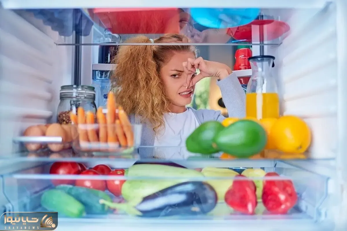ترفندهای خانه داری؛ رفع بوی بد یخچال برای همیشه با 5 ماده طبیعی