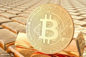 فاش شدن راه بیت کوین توسط ایلان ماسک!