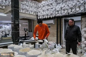 ارز ترجیحی برنج خارجی حذف شد؛ جزئیات قیمت جدید برنج هندی و پاکستانی