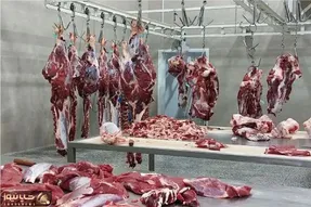 علت گرانی گوشت قرمز؛ ضعف نظارت و دخالت‌های اشتباه؟