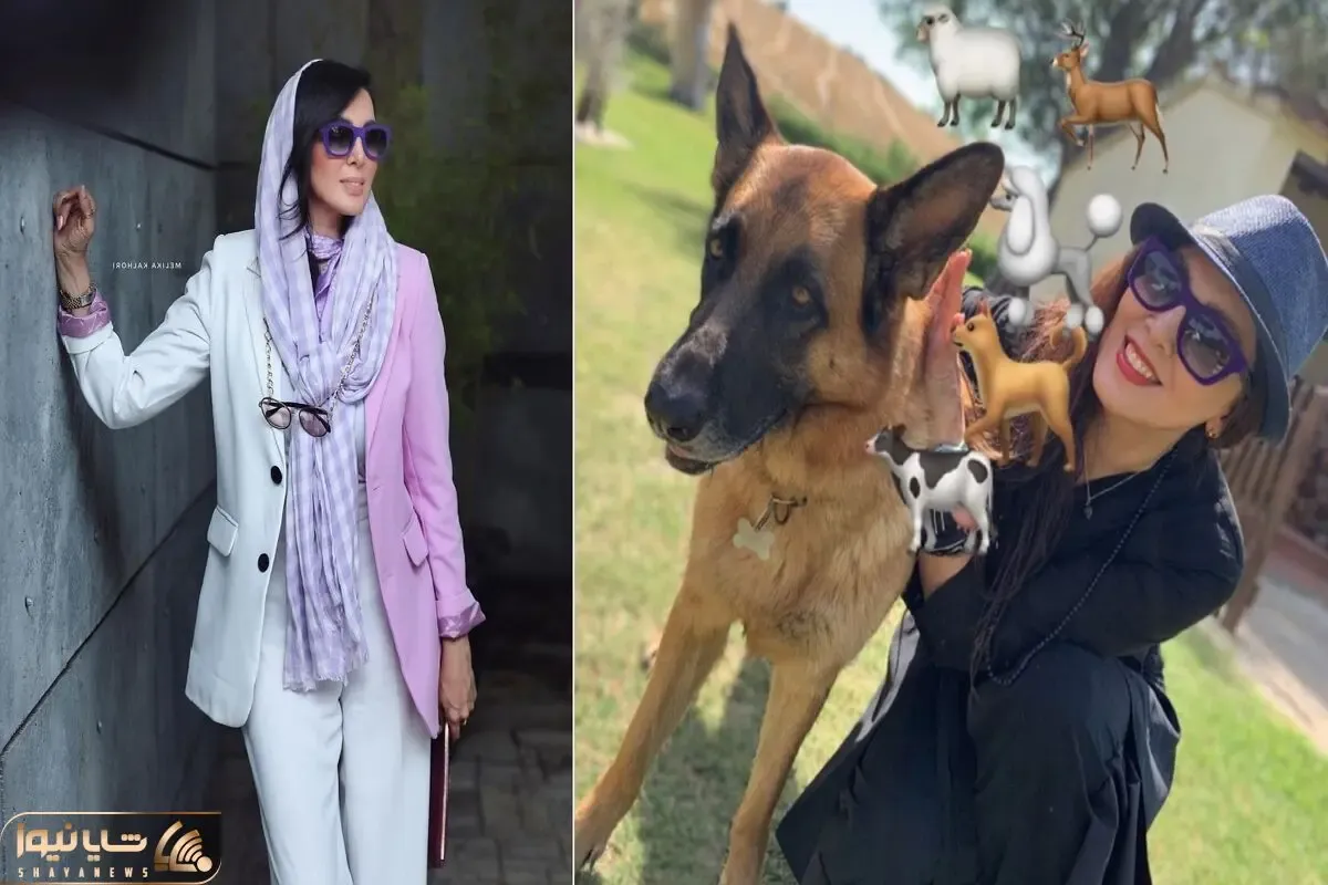 ست شلغمیِ 