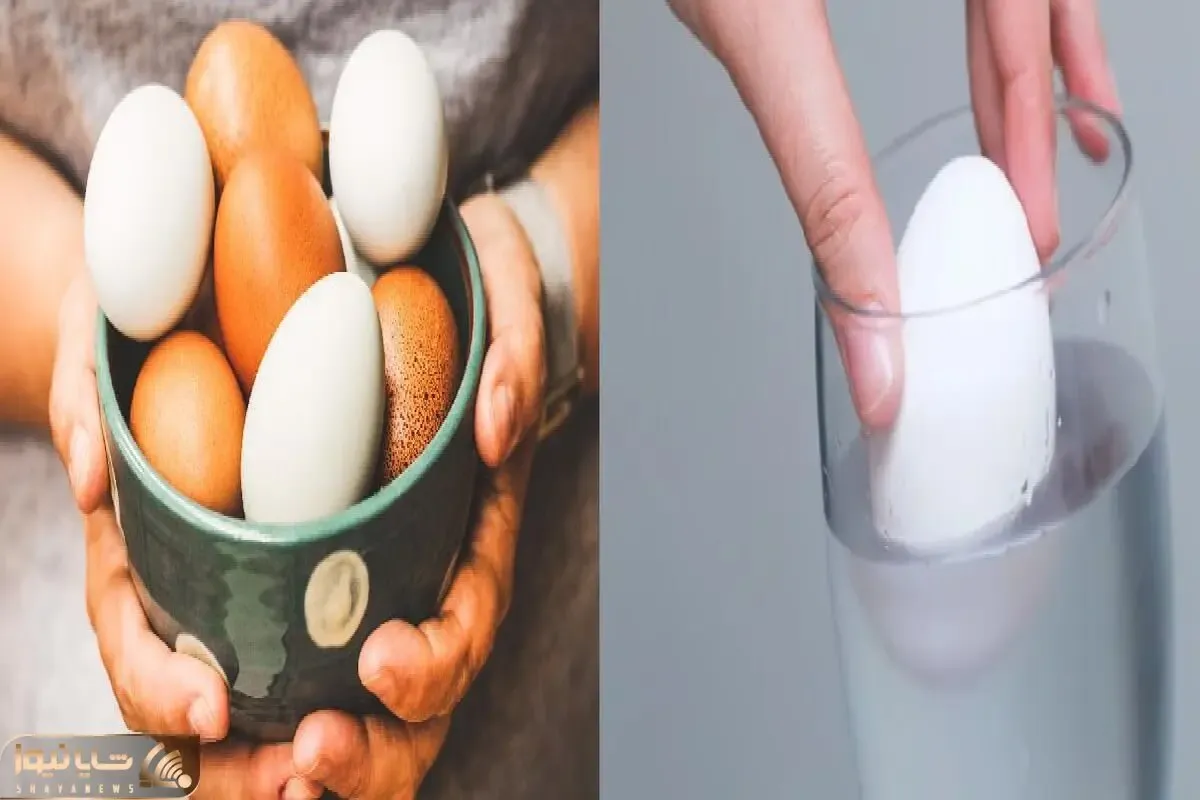 چطوری بفهمیم تخم مرغ سالمه یا خراب؟/ رازهای تشخیص تخم مرغ تازه که باید بدونی!