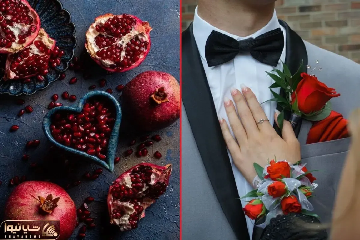 تبریک یلدا؛ اگه میخوای تو اینستا پست و استوری عاشقانه برای یار بزاری این ویدیوها رو ببین
